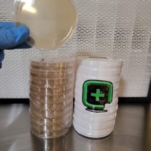 100mm x 15mm Agar Plates - 40ct.